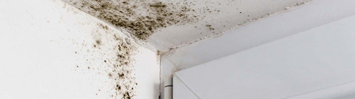 Humidite-mur