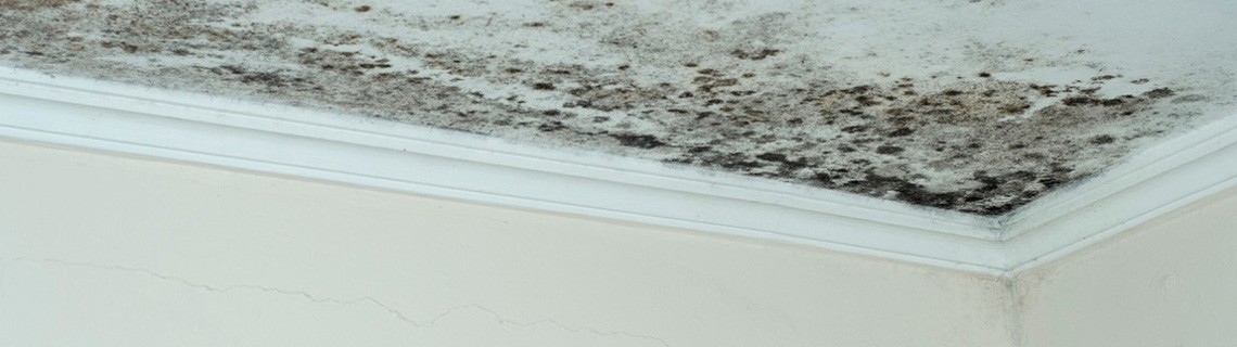 moisissure_plafond_1140X320