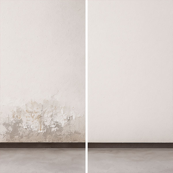 Tratamiento antisalitre