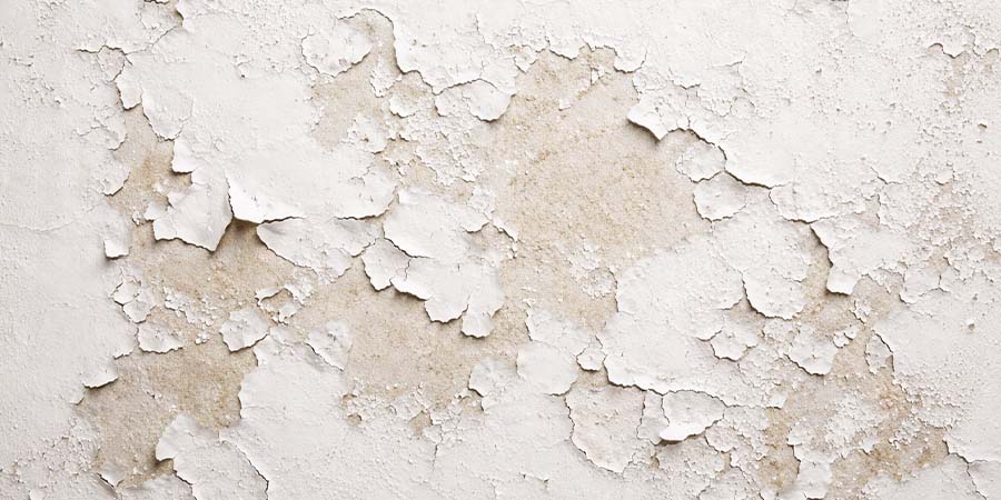 Peinture écaillée : comment réparer efficacement et éviter que ça recommence ?